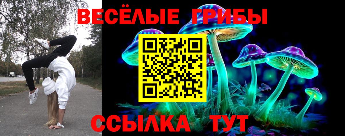 Кулебаки  Псилоцибиновые грибы MAGIC MUSHROOMS  Вход с VPN  Галлюциногенные грибы Magic Shrooms 